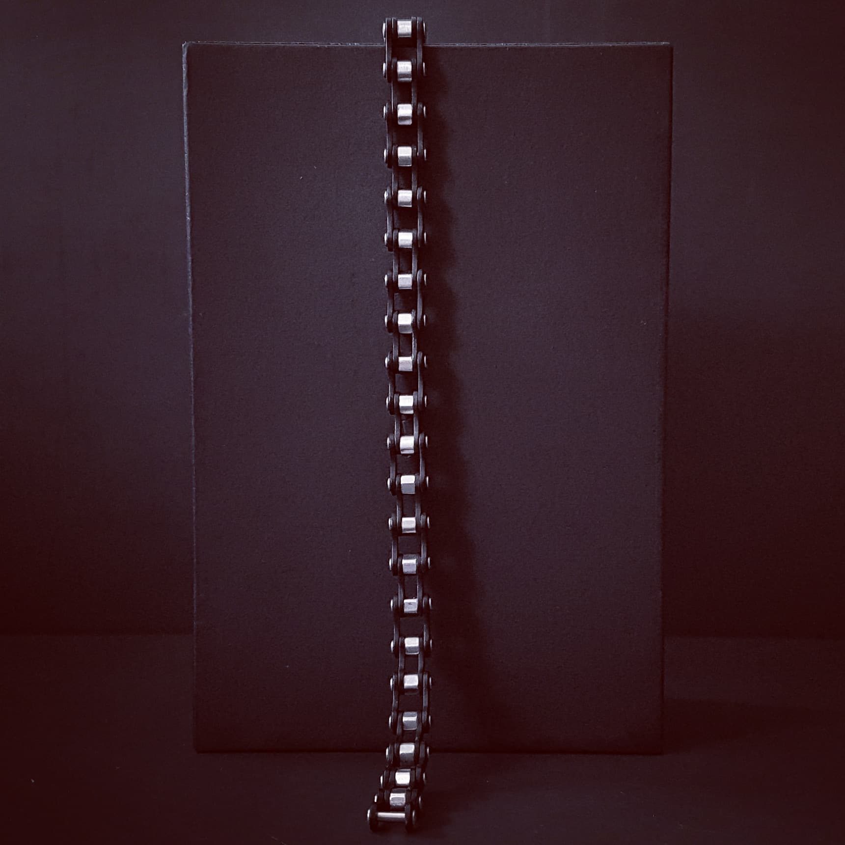 BICYCLE CHAIN - Image 3