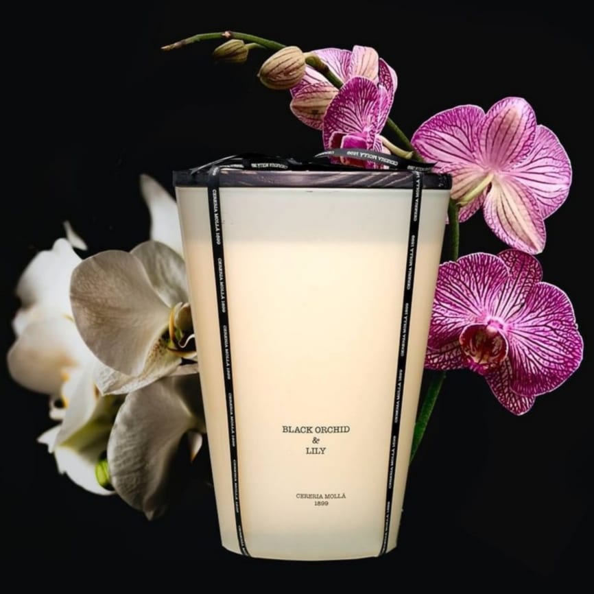 BLACK ORCHID & LILLY XL - Image 4
