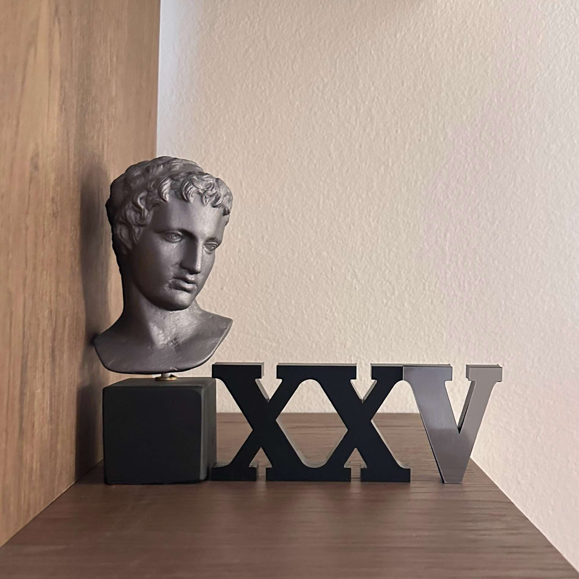 YEAR XXV - Image 2