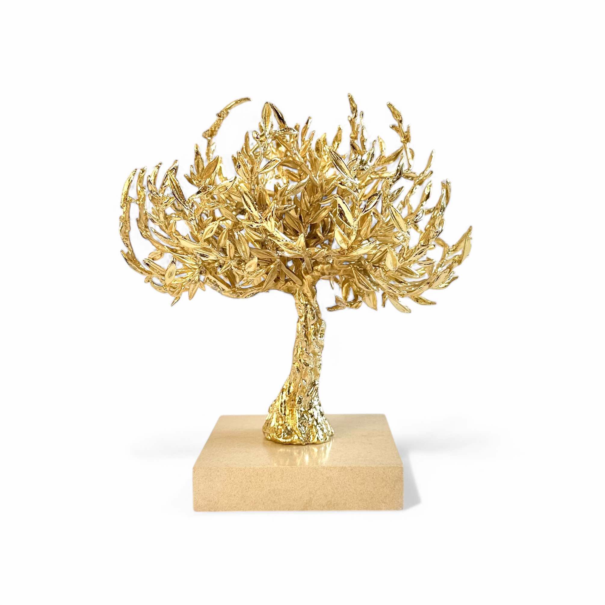 OLIVE TREE - Image 4