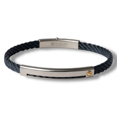 SKEMA BLUE